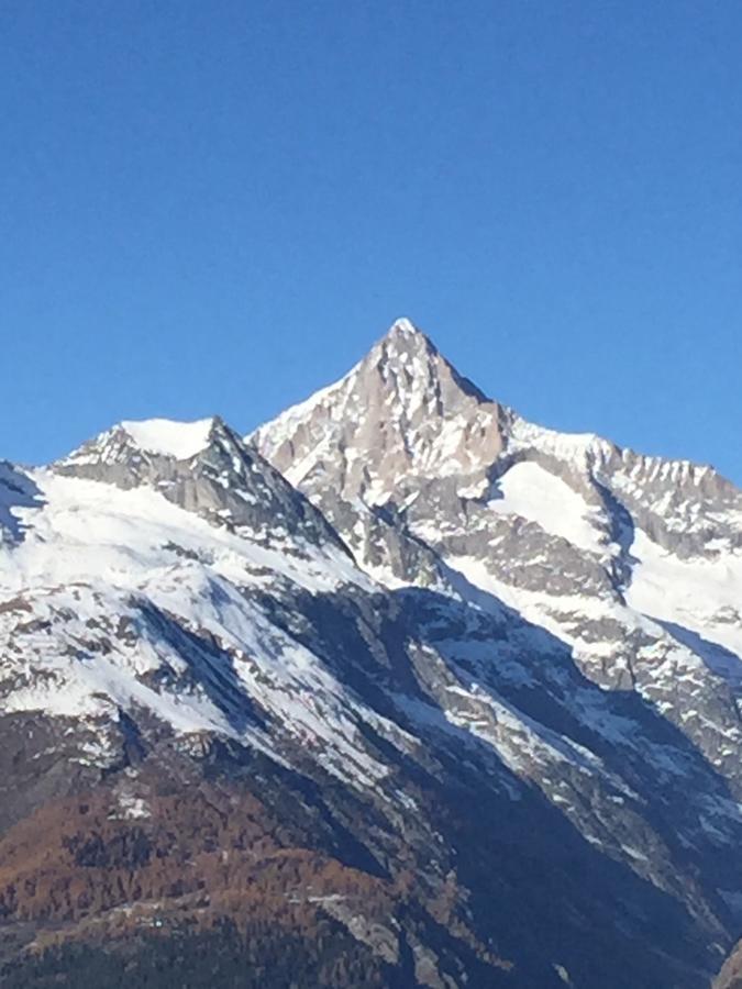 Hotel Restaurant Rothorn Visperterminen Dış mekan fotoğraf